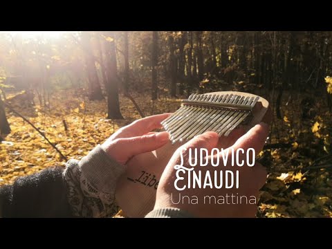 Видео: Ludovico Einaudi — Una mattina (Intouchables OST) —kalimba cover by Jane Libella | калимба