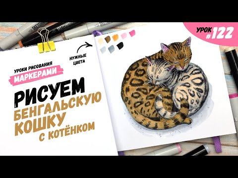 Видео: Как нарисовать бенгальскую кошку с котёнком? / Видео-урок по рисованию маркерами #122