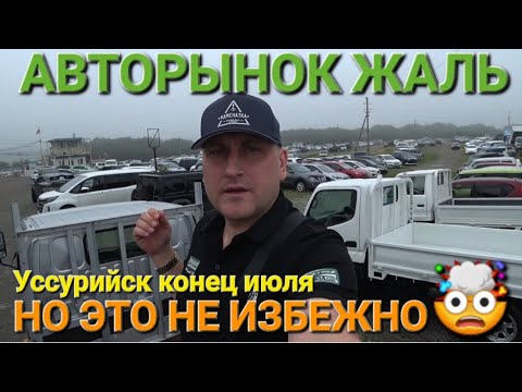 Видео: ЖАЛЬ АВТОРЫНОК, НО ЭТО НЕИЗБЕЖНО, УТИЛЬ ИХ ДОБЬЁТ, УССУРИЙСК 2024, ВЛАДИВОСТОК