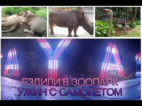 Видео: Были в зоопарке#Смотрели на ночной город