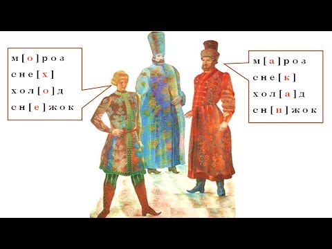 Видео: Орфоэпия (рассказывает Михаил Штудинер)