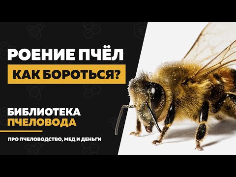Видео: Как предотвратить роение пчел – признаки и методы