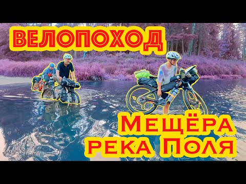 Видео: НАШЛИ КРУГИ В ЛЕСУ // ПВД по Мещере вдоль реки Поля