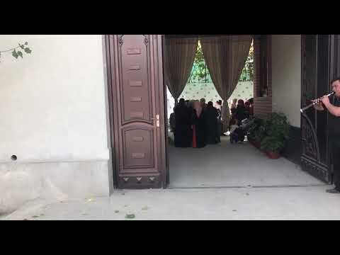 Видео: Узбегим туйларида айланай