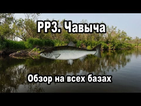 Видео: Русская Рыбалка 3. Чавыча. Обзор на всех базах.