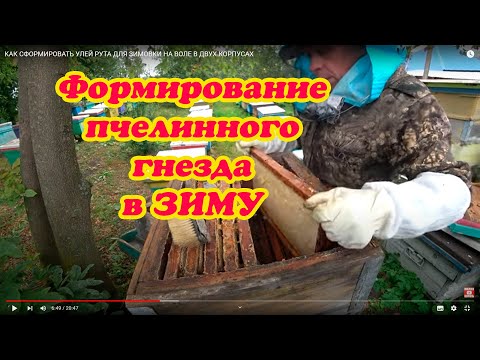 Видео: КАК СФОРМИРОВАТЬ УЛЕЙ РУТА ДЛЯ ЗИМОВКИ НА ВОЛЕ В ДВУХ КОРПУСАХ