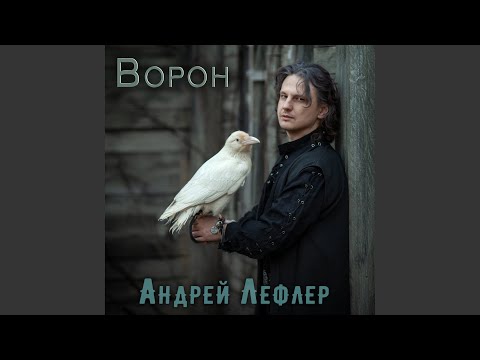 Видео: Ворон