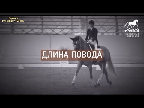 Видео: Длина повода. Верховая езда