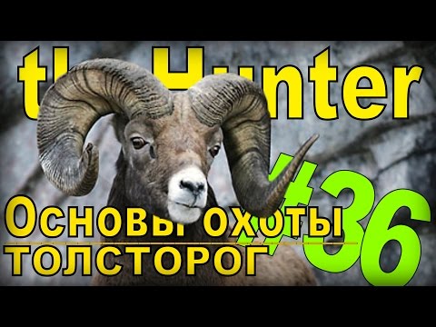 Видео: theHunter - Толсторог [Основы охоты] #36