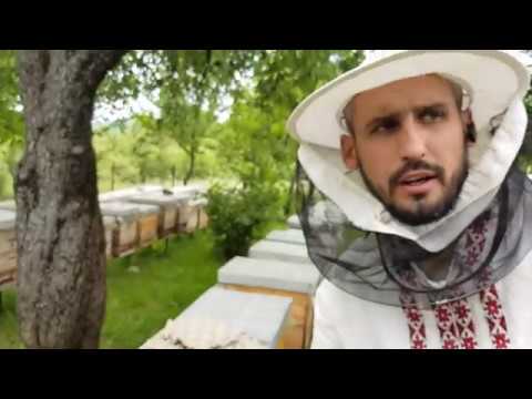 Видео: Подписчик заехал в гости . Работаем на пасеке 13.05.2018