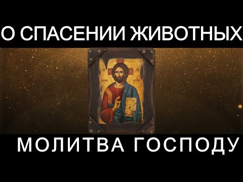 Видео: Молитва Господу о спасении и здоровье животных