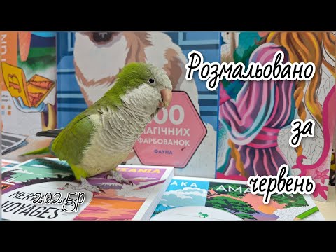 Видео: Розмальовано за червень 2025р. /Hachette, Dessain et Tolra, Аркуш, creative Haven