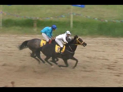Видео: Саха Республикатын Президенин бирииһигэр ат сүүрдүүтэ 2008 с