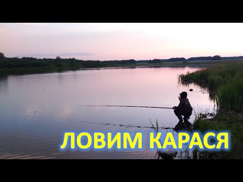 Видео: ЛОВИМ КАРАСЯ. БАТЛ С РЕБЯТНЕЙ. ХЕРАБУНА, ТОНАГО, МАХОВАЯ УДОЧКА. Старый Призрак "918 #1