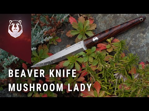 Видео: BeaverKnife Mushroom Lady. Нож нужный всем!