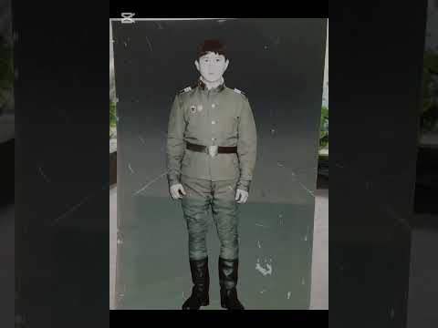 Видео: 5 ноября 2025 г.