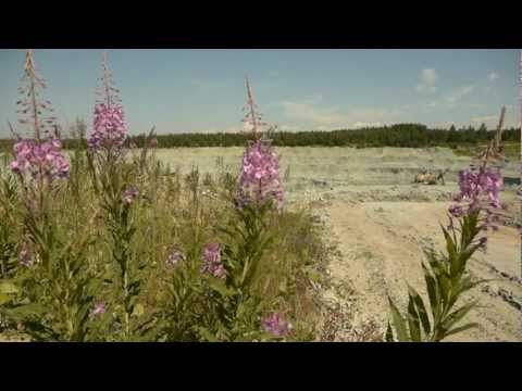 Видео: Фильм о городе Никольское 300 лет часть 1