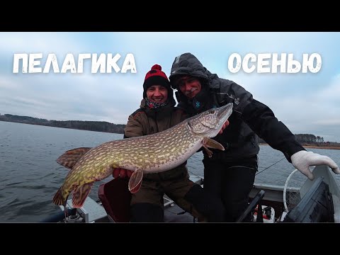 Видео: На рыбалку с батей! Поздняя осень!