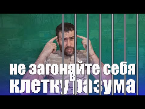 Видео: Пчеловодство для начинающих, как быстро развиваться. Методики пчеловодства