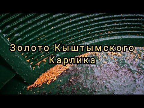 Видео: Золото Кыштымского Карлика