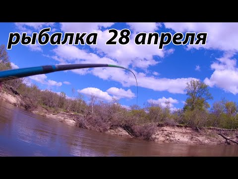 Видео: ЭТОТ МОНСТР СОГНУЛ УДОЧКУ! Рыбалка на поплавок 28 апреля 2022 на реке