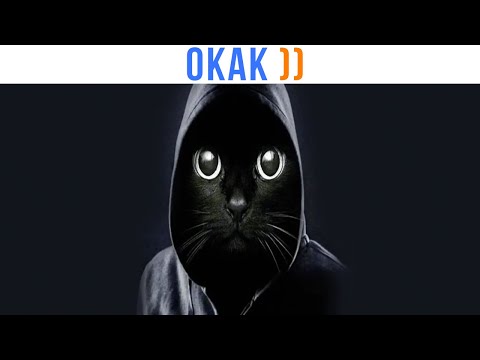 Видео: Мемцы) ОКАК ))) Приколы | Мемозг 1606