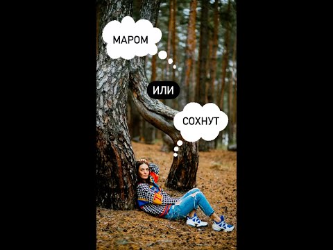 Видео: Бесплатный билет в Израиль. Куда обращаться после получения визы 🇮🇱