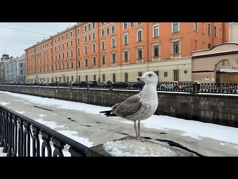 Видео: ГУЛЯЮ ПО ПЕТЕРБУРГУ. ПОСЕТИТЬ ОБЯЗАТЕЛЬНО!КАЗАНСКИЙ СОБОР И НЕВЕРОЯТНАЯ МОЗАЙКА ХРАМА СПАСА НА КРОВИ