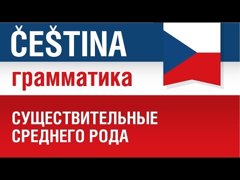 Видео: Существительные среднего рода. Чешский язык. Елена Шипилова.