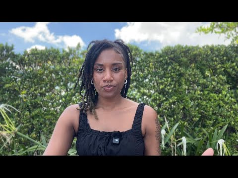 Видео: Получите все, ничего не делая