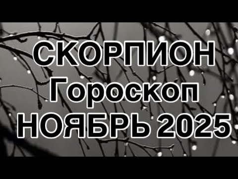 Видео: СКОРПИОН - ГОРОСКОП  НА НОЯБРЬ  2025  |УДАЧА  |  ЛЮБОВЬ | РАБОТА | ФИНАНСЫ | ОТ NATALLIA MARKOWSKA