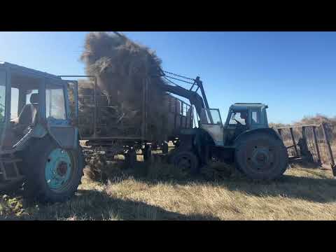 Видео: Никогда не заготавливаете сено так, сенокос 2023.