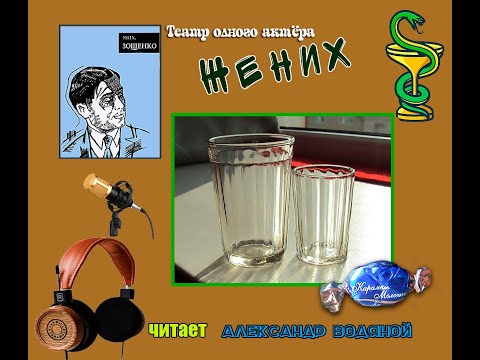 Видео: Мих. Зощенко. Жених (без музыки) - чит. Александр Водяной