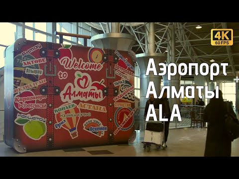 Видео: Новый аэропорт Алматы! Впечатления изнутри ✈️