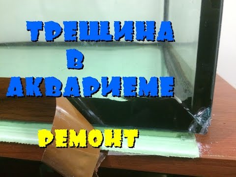 Видео: Треснул аквариум. Сверление стекла.