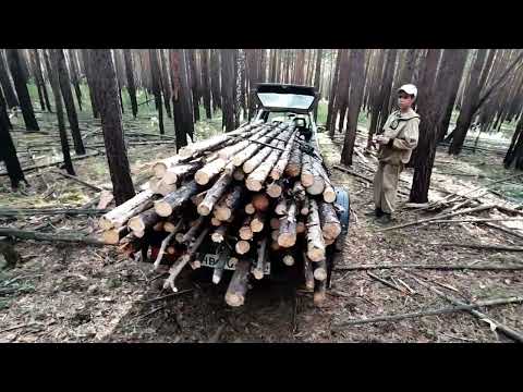Видео: готовим дрова . серия √3 .#штиль #дрова #лес