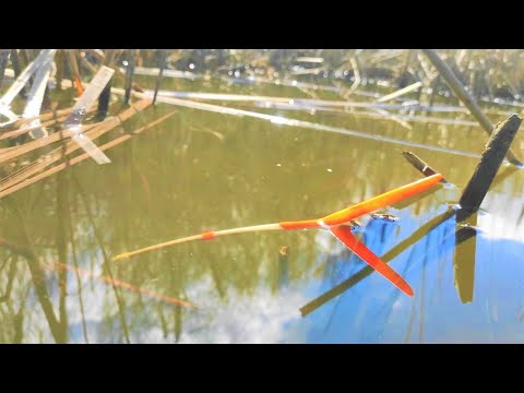 Видео: Крупные КАРАСИ ЛАПТИ кишат в ДРОВАХ... и ЖРУТ!!  Рыбалка на поплавок весной на реке