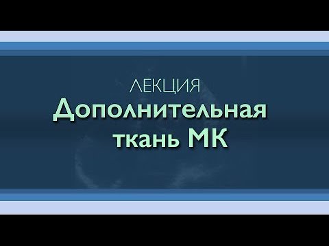 Видео: Дополнительная ткань митрального клапана