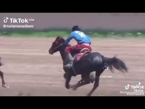 Видео: 4 сентября 2025 г.