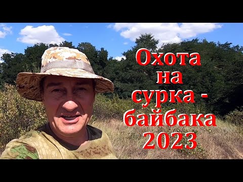Видео: Охота на сурка - байбака 2023. Лучшие моменты!