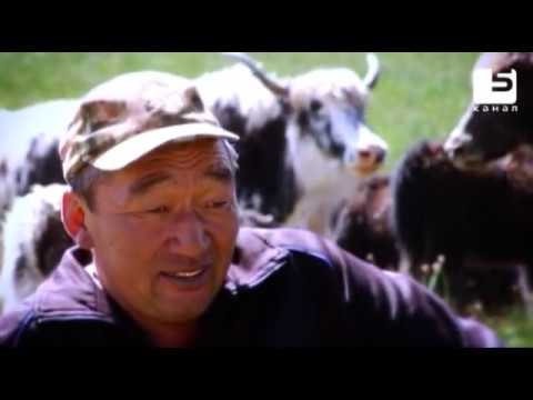 Видео: Кыштакча: село Толок