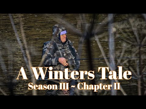 Видео: Зимняя сказка. Сезон III ~ Глава II | Длинная рысь за хариусом | Поплавочная рыбалка