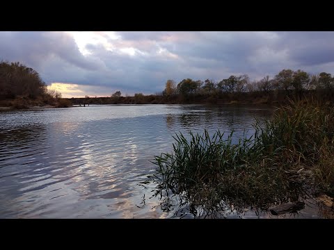 Видео: Рыбалка на спиннинг/Дошёл до места где река Воронеж впадает в реку Дону