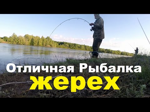 Видео: Отличная рыбалка! Жерех.