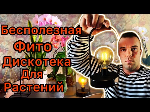 Видео: СВЕТ - ГЛАВНОЕ в Жизни ОРХИДЕЙ и ВСЕХ РАСТЕНИЙ. Какую ДОСВЕТКУ выбрать?