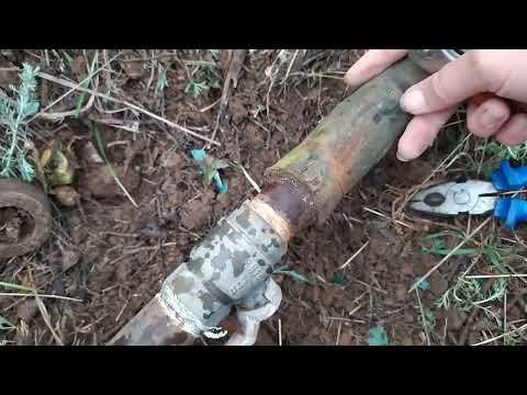 Видео: Купила дом в деревне. Итог прошедшей весны. Обзор огорода.