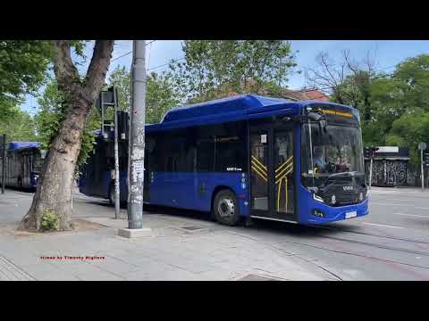 Видео: Buses in Belgrade, Serbia 2025 - Аутобуси у Београду