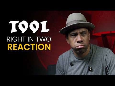 Видео: РЕАКЦИЯ ИНСТРУМЕНТА // ПРЯМО В ДВА // РЕАКЦИЯ ЛЕО ТОРРЕСА