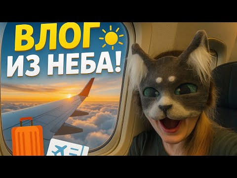 Видео: Влог квд | теффи | влог со сходки |