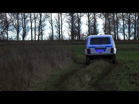 Видео: К ЧЕМУ ПРИВОДИТ ПИЛКА ДРОВ!